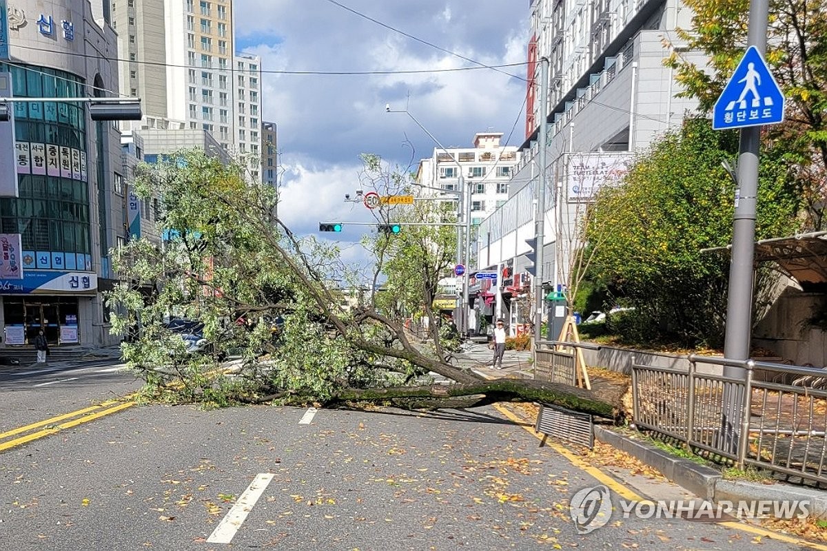 컨테이너 떨어지고, 철문에 부딪히고…대전·충남 강풍피해 속출(종합)