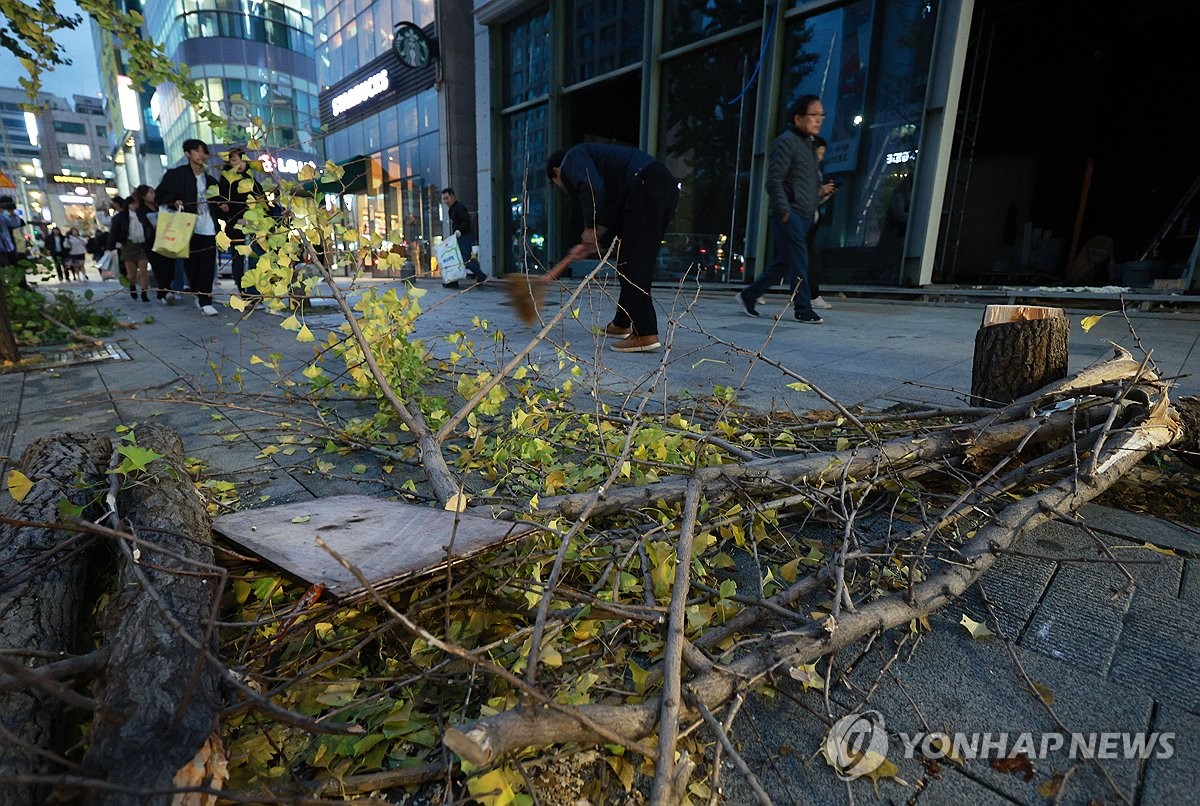 '행인 뇌사' 홍대입구역 가림막 사고 공사업체 대표 입건