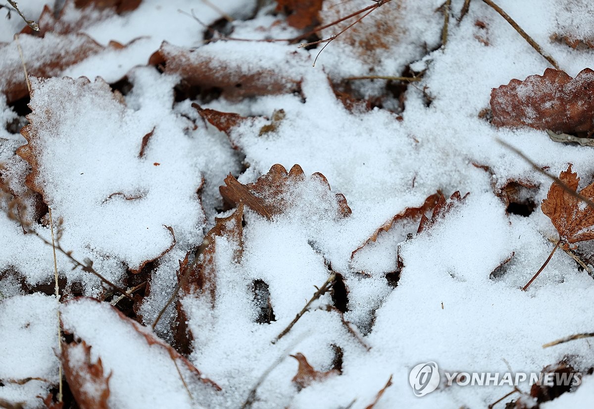 "갑자기 겨울 왔어요"…패딩·목도리로 중무장한 출근길