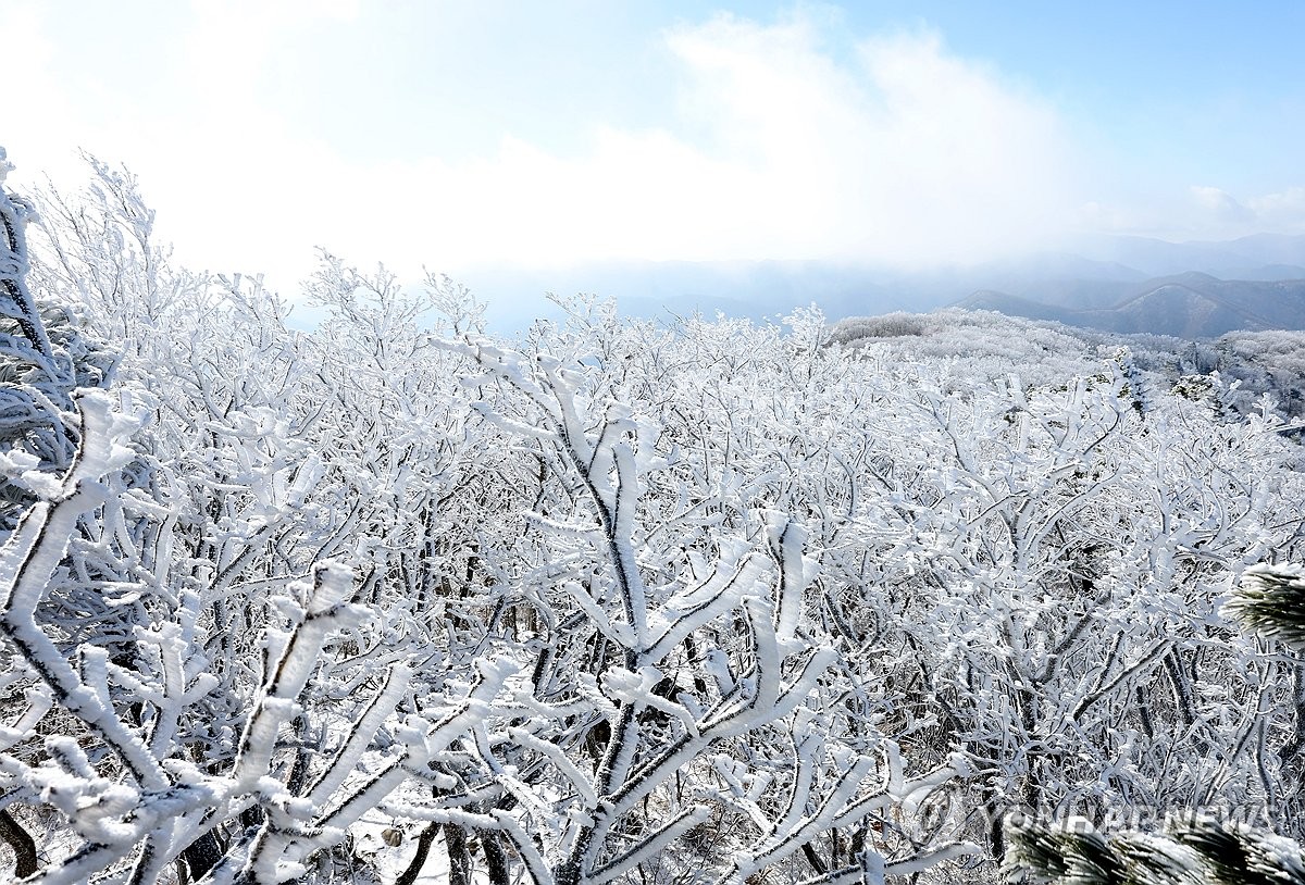 대관령 -4.5도·화천 사내 -4.2도…강원 출근길 '오들오들'(종합)