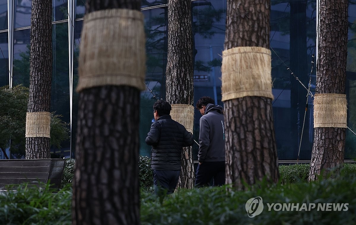 [내일날씨] 비 그치고 기온 '뚝'…내륙은 영하권 추위