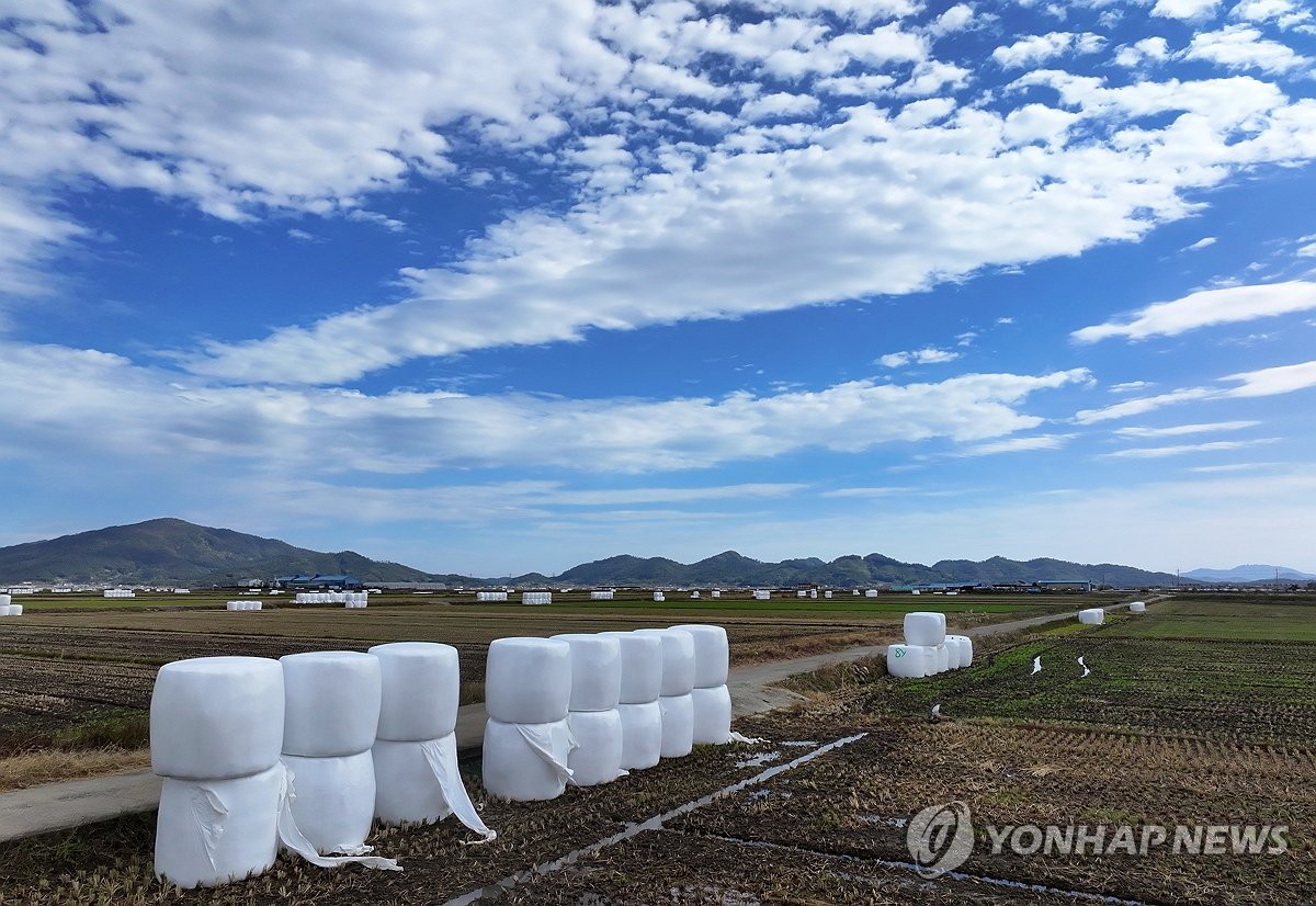 부산·울산·경남 낮 최고 12∼16도…바람 불어 체감온도 낮아