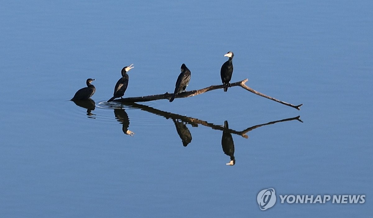 전북 맑다가 차차 흐려져…낮 최고 16∼18도