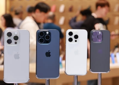 "고맙다 애플"…'아이폰 효과'에 LG 덩달아 웃은 까닭
