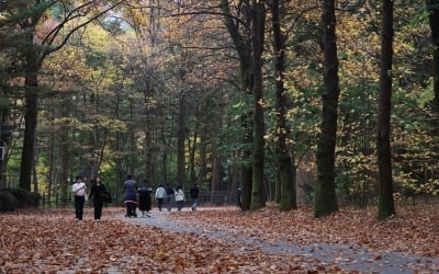 "왜 이렇게 덥지"…서울 아침 기온, 역대 11월 중 가장 높았다