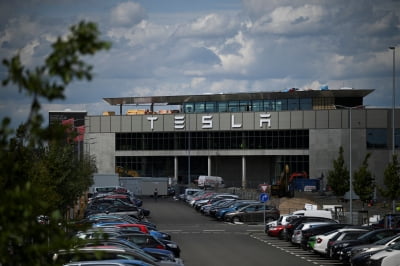 "테슬라, 독일공장에서 3,500만원짜리 EV 생산 계획"