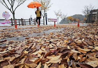 [내일날씨] 전국 '흐림'…수도권 등 곳곳에 가을비