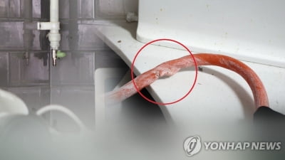 포항 상가서 LP가스 폭발…1명 사망