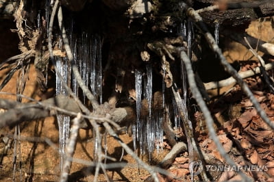 [내일날씨] 아침기온 영하로 '뚝'…곳곳 서리·얼음도