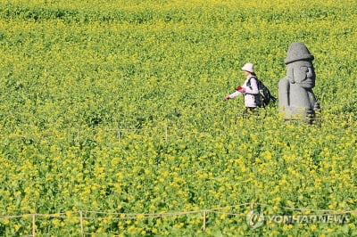 [날씨] 전국 맑고 낮 기온 포근…내륙 아침엔 서리