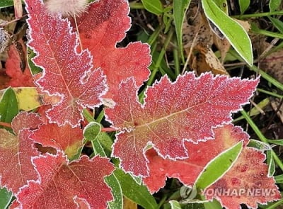 강원 대체로 맑음…내륙·산지에 서리