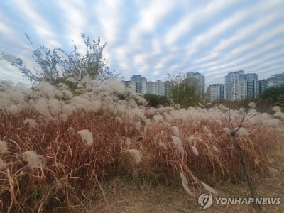 대구·경북 맑다가 오후부터 구름…낮 최고 20도