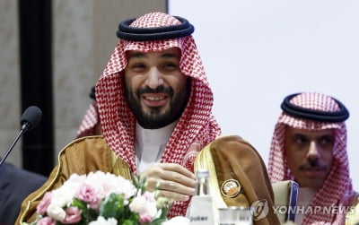 사우디 '석유중독' 전략…"글로벌 수요 떠받치려 빈국 시설투자"