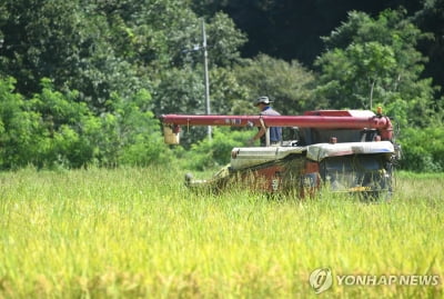 익산시, 농업인 대상 기본형 공익직불금 내달부터 지급