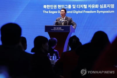 김태효 "북한인권은 대북정책 본질…어떤 외교서든 핵심의제"