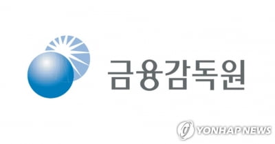 금감원, 전기오류수정 주석공시 모범사례 마련