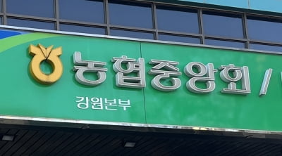 강원농협, 올 하반기 지역인재 67명 신규 채용