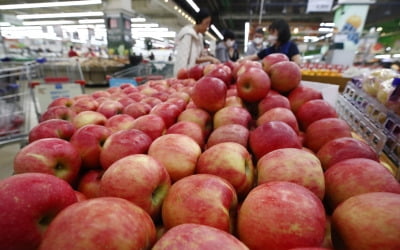 11월에도 金사과…도매가, 1년 전의 '두 배'