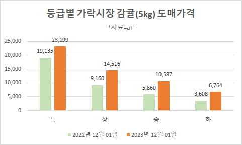 등급별 가락시장 카지노 게임 종류(5kg) 도매가격(자료=aT)