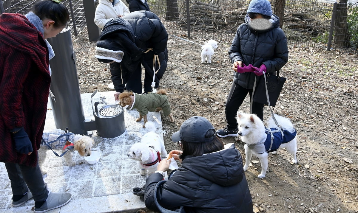 서대문구, 반려견과 함께 하는 산책길·놀이터 개장