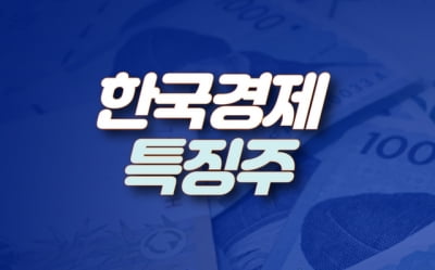 [한경유레카 특징주] 엘앤에프, 6거래일 연속 상승세