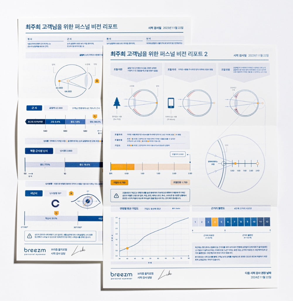 브리즘 비전 리포트