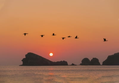  시인의 겨울나기