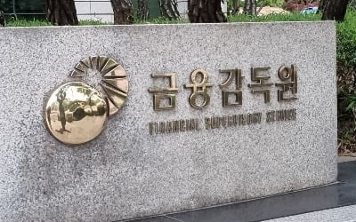 [단독] 금감원 "한국앤컴퍼니, SM 사태와 유사" 조사 착수