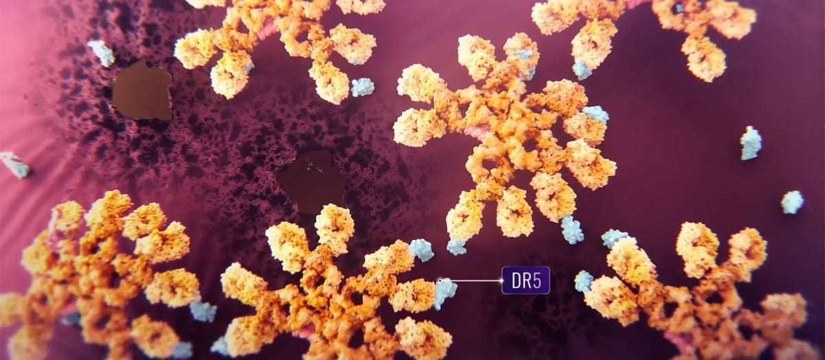 IGM바이오사이언스가 개발 중인 IgM 기반 항체의약품 아플리타바르트(Aplitabart)가 표적인 DR5와 결합한 모습. IGM바이오사이언스 제공