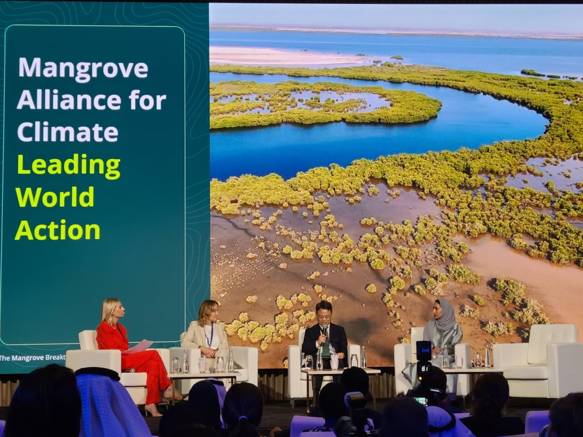 박은식 산림청 산림국제협력관(오른쪽 두 번째)이 아랍에미리트 두바이에서 열린 제28차 유엔기후변화협약 당사국총회(COP28) 맹그로브 장관급 회의에서 기조 연설을 하고 있다. 산림청 제공