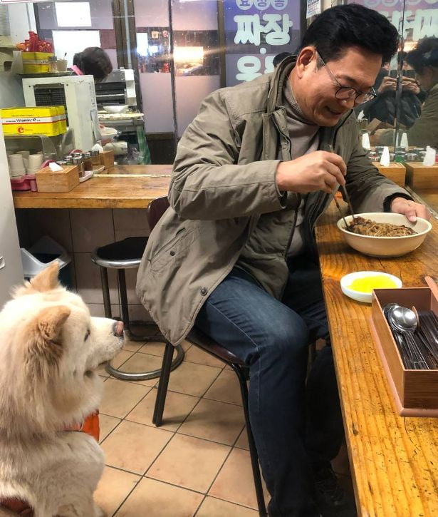 송영길 전 더불어민주당 대표가 13일 용산의 한 중국집에서 카지노 꽁머니을 사 먹는 모습. 송 전 대표는 이 사진을 페이스북에 올리면서 반려견이 남겨 줄 카지노 꽁머니에 집중하고 있다고 썼다. / 사진=송 전 대표 페이스북