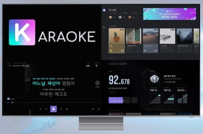 금영엔터테인먼트, 최대 300억원 투자 유치 나섰다