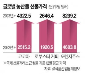 이번엔 '코코아 쇼크'…잡히지 않는 애그플레이션 [하수정의 티타임]