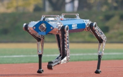  100m 19.87초 만에 뛴다…기네스 신기록 세운 한국 로봇
