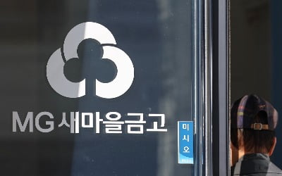 부동산 PF 부실 '긴장'…금융당국, 새마을금고 상시 감시