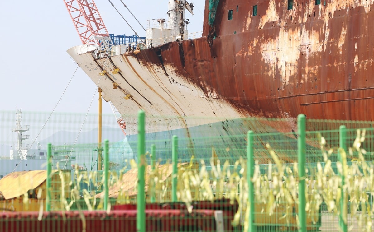 세월호 선체가 거치된 전남 목포시 목포신항. 사진=연합뉴스