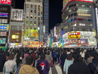 "무서워서 땅만 보고 걸어"…일본 여행 온 관광객들 '화들짝' [여기잇슈]