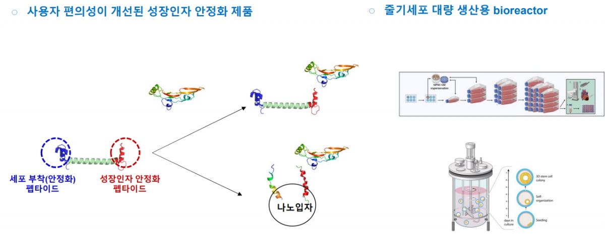 "3년 내 50억 연매출 목표"…청각장애 이겨낸 대표의 도전장 [긱스]