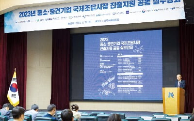 '국제 조달시장 진출의 모든 것'…대외경제협력기금 등 실무강좌