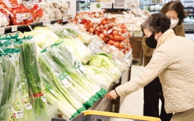 소비자물가 3.3%로 둔화…농산물 가격은 30개월 만에 최고