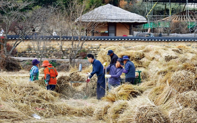 [포토] 초가집 에볼루션 카지노 사이트 만들기 한창 