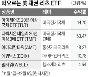 Fed 금리 조기인하 전망에…미국 채권·리츠 돈 몰린다