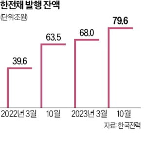 한전, 자회사 6곳에 "연내 중간배당 달라"