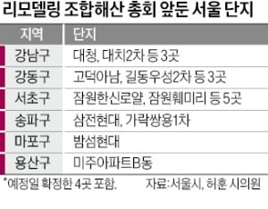 "서울 리모델링 30%, 2차 안전진단 받아야"