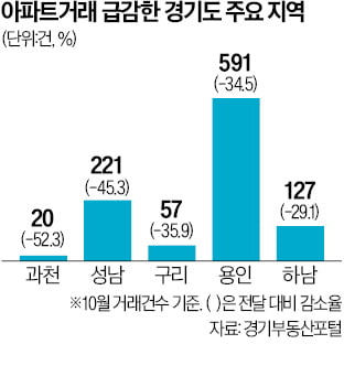 과천·성남 거래량, 한달 새 '반토막'…"당분간 매수 위축"