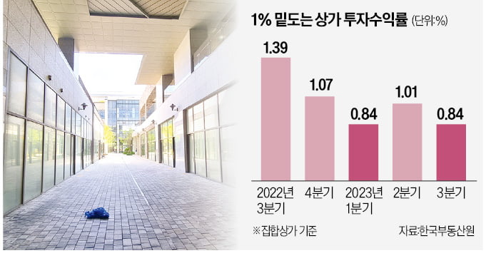 "아파트보다 냉랭"…단지 내 상가 '미분양 늪'