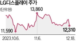 인터넷 바카라D, 결국 1.36조원 유상증자…중소형 OLED 투자재원 확보