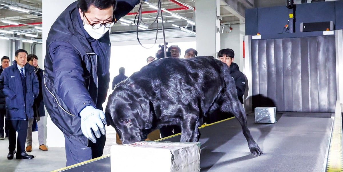 [포토] 세관검사 한곳으로 통합…“마약 밀반입 꼼짝마”