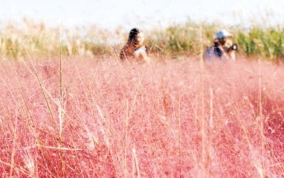  "인간은 생각하는 갈대"…'사유의 힘' 강조한 사색집