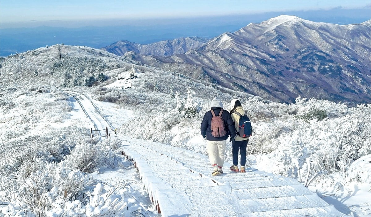 < 설국으로 변한 지리산 > 폭설이 내린 전남 구례 지리산 노고단 정상을 지난 23일 등산객이 걸어가고 있다. 지리산 정령치 12㎞ 등 많은 눈이 쌓인 일부 탐방로는 출입이 통제됐다.  구례군 제공 